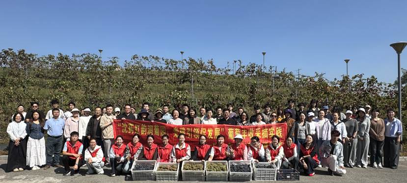 微信图片_20260916190745_281_8